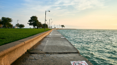 chi1811476Oct-13-2018