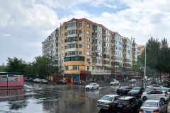 Harbin Downpour