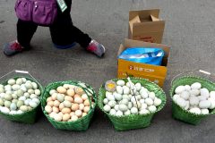 Eggs Galore - Subin Market