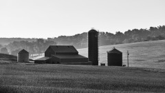 DSC_3185Sep-19-20210-3