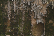 Rock Cover Textures