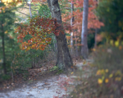 Color Change Blur