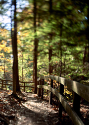Path Blur 2