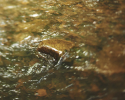 Waterflow