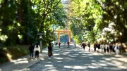 Meiji Jingu Entrance