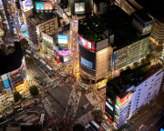 Shibuya Crossing Night Lights
