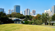 Shinjuku Skyline