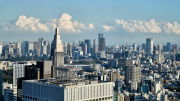 Shinjuku Government Observatory View