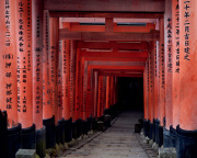 Torii Gates