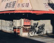 Shop Bike