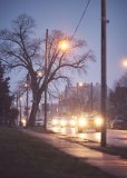 Snow Lights