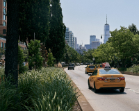 Yellow Taxi