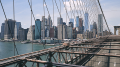 Bridge Support