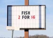 Fishy