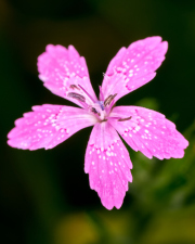 1_DSC_7214Jul-29-20230