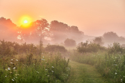 Lifting Morning Dew