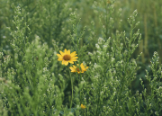 DSC_1198Sep-04-20210