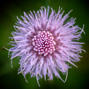 DSC_1211Sep-04-20210