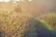 summer18nature3935Aug-04-2018
