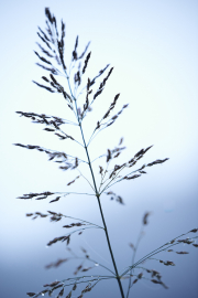 summer18nature4505Aug-12-2018