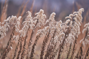 winter-1815679Dec-28-2018