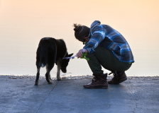 Man & Dog