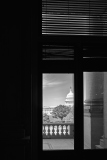 Window Capitol
