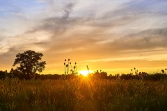 Prairie Sunset
