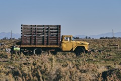 Wooden Box Truck