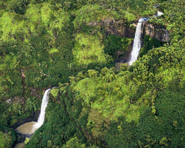 DSC_0026Nov-06-20220Hawaii