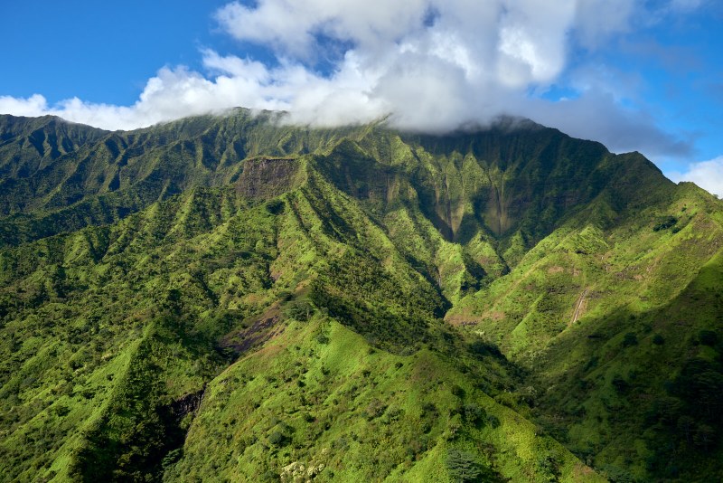 DSC_0344Nov-06-20220Hawaii