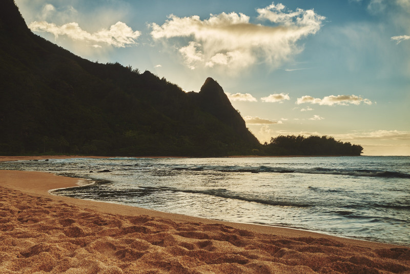 DSC_1069Nov-06-20220Hawaii