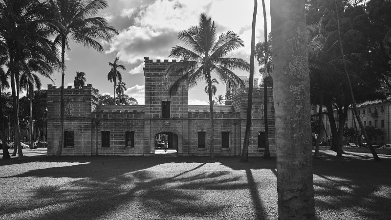 DSC_7511Nov-07-20220Hawaii