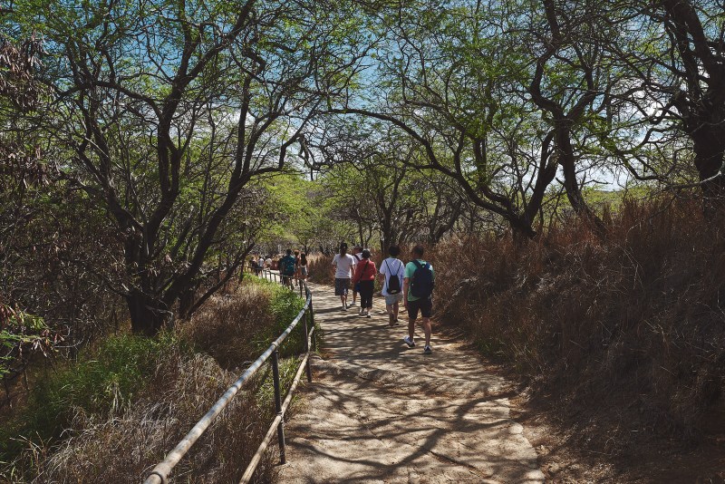 Diamond Head Path