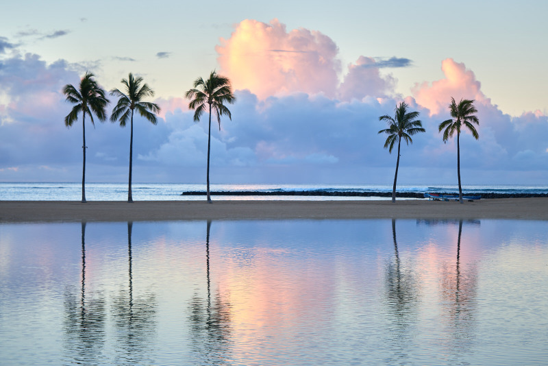 DSC_8339Nov-07-20220Hawaii