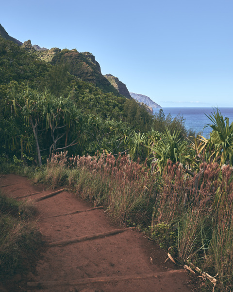 DSC_9173Nov-06-20220Hawaii