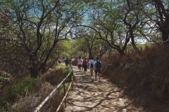 Diamond Head Path
