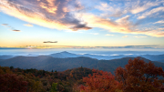 DSC_0584Oct-28-20210-1
