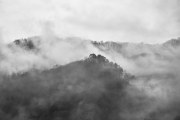 DSC_7123Apr-16-20230