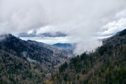 DSC_7153Apr-16-20230