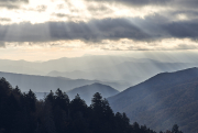 Smokies7856Oct-27-2017