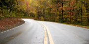Fall Mountain Road