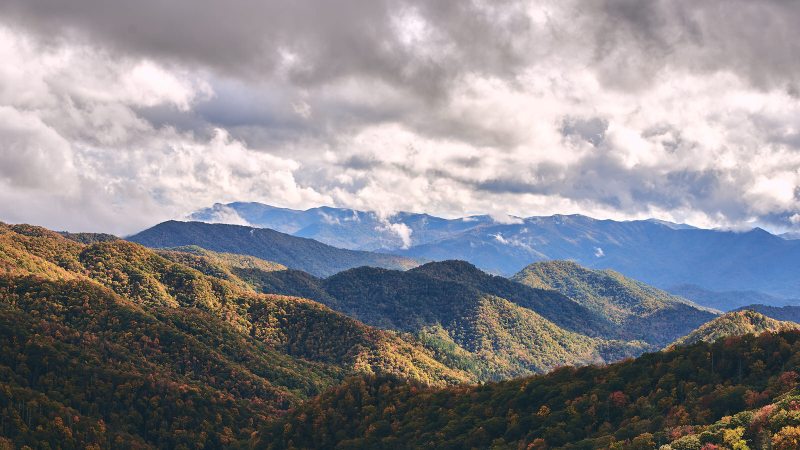 Smokies8632Oct-28-2017