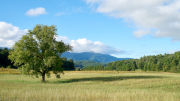 cadescovenash187590Sep-24-2018