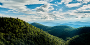 nashvilleblueridge188270Sep-25-2018-1