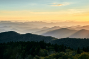 nashvilleblueridge188514Sep-25-2018