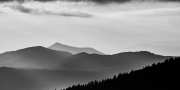 smokies186848Sep-22-2018