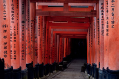 Into the Vermilion Maze