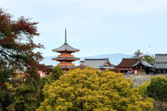 The Temple Breathes