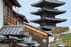 Roof Lines Against the Sky